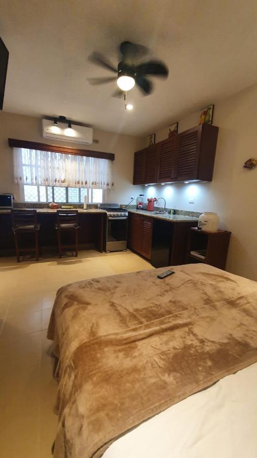 Coralito Malecon Luxury Studio Isla Mujeres Eksteriør bilde