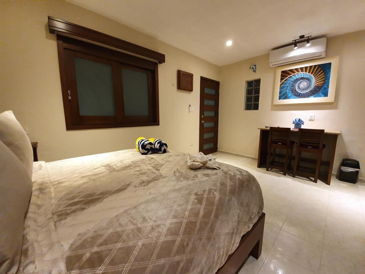 Coralito Malecon Luxury Studio Isla Mujeres Eksteriør bilde